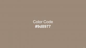 Color Palette With Five Shade Espresso Shingle Fawn Domino Pale Oyster Napa Downloadable Impactful