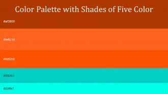 Color Palette With Five Shade Fire Orange International Orange Robins Egg Blue Cyan Aqua