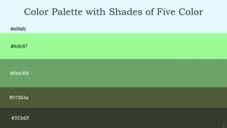 Color Palette With Five Shade Foam Mint Green Asparagus Hemlock Heavy Metal