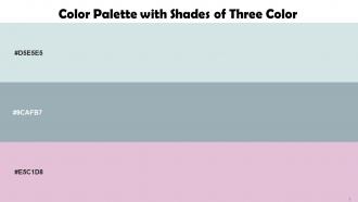 Color Palette With Five Shade Geyser Gull Gray Melanie