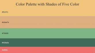 Color Palette With Five Shade Golden Sand Tumbleweed Bay Leaf Mineral Green Froly