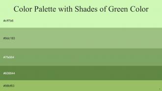 Color Palette With Five Shade Gossip Olivine Asparagus Fern Green Olivine