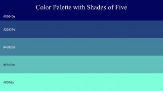 Color Palette With Five Shade Gulf Blue Bay Of Many Wedgewood Fountain Blue Aquamarine