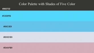 Color Palette With Five Shade Heavy Metal Malibu Malibu Mystic Blossom