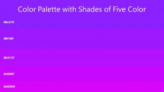 Color Palette With Five Shade Heliotrope Electric Violet Electric Violet Electric Violet Electric Violet