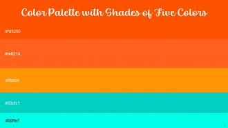 Color Palette With Five Shade International Orange Orange Pizazz Robins Egg Blue Cyan Aqua