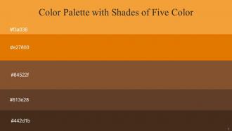 Color Palette With Five Shade Jaffa Mango Tango Mule Fawn Irish Coffee Metallic Bronze