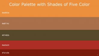 Color Palette With Five Shade Jaffa Santa Fe Quincy Roof Terracotta Kenyan Copper