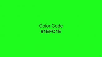 Color Palette With Five Shade Lunar Green Everglade Forest Green La Palma Green Customizable Impactful