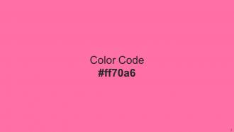 Color Palette With Five Shade Malibu Hot Pink Atomic Tangerine Kournikova Laser Lemon