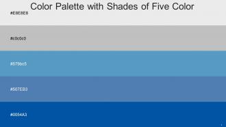 Color Palette With Five Shade Mercury Silver Danube Steel Blue Endeavour