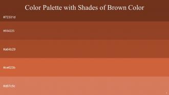 Color Palette With Five Shade Metallic Copper Cumin Paarl Tuscany Japonica