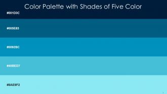 Color Palette With Five Shade Midnight Orient Bondi Blue Scooter Spray
