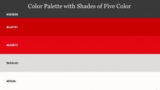 Color Palette With Five Shade Mine Shaft Guardsman Red Monza Bon Jour Rose White