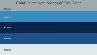Color Palette With Five Shade Mystic Hit Gray Boston Blue Blumine Downriver