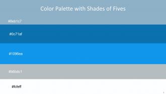 Color Palette With Five Shade Nepal Denim Cerulean Silver Sand Alice Blue