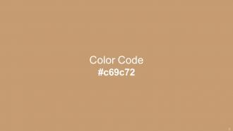 Color Palette With Five Shade Pablo Tide Leather Antique Brass Tundora Editable Captivating