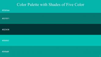 Color Palette With Five Shade Persian Green Pine Green Daintree Robins Egg Blue Niagara