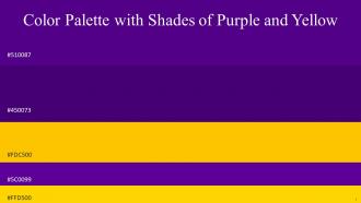 Color Palette With Five Shade Pigment Indigo Pigment Indigo Purple Supernova Gold