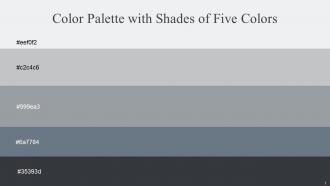 Color Palette With Five Shade Porcelain Silver Sand Gray Chateau Pale Sky Outer Space