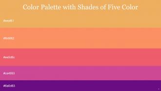 Color Palette With Five Shade Porsche Tan Hide Mandy Mulberry Windsor