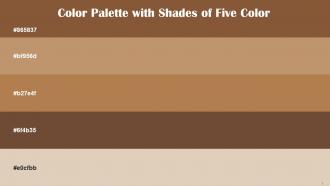 Color Palette With Five Shade Potters Clay Muddy Waters Driftwood Shingle Fawn Bone