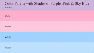 Color Palette With Five Shade Prelude Carnation Pink Pastel Pink Anakiwa French Pass