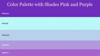 Color Palette With Five Shade Purple Heart Amethyst Cold Purple Spindle Charlotte