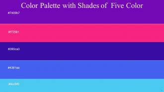 Color Palette With Five Shade Purple Violet Red Blue Gem Royal Blue Picton Blue