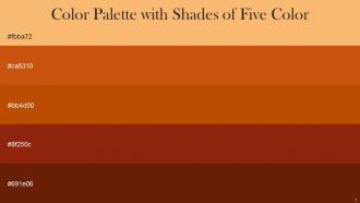 Color Palette With Five Shade Rajah Tia Maria Rose Of Sharon Totem Pole Kenyan Copper