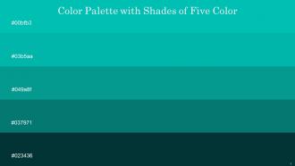 Color Palette With Five Shade Robins Egg Blue Persian Green Niagara Pine Green Daintree