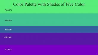 Color Palette With Five Shade Screamin Green Emerald Azure Azure Purple