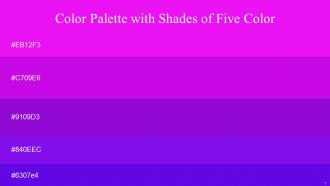 Color Palette With Five Shade Seance Windsor Electric Violet Electric Violet Electric Violet