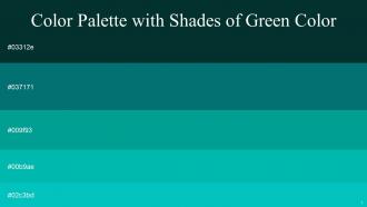 Color Palette With Five Shade Sherwood Green Mosque Persian Green Caribbean Green Robins Egg Blue