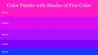 Color Palette With Five Shade Shocking Pink Electric Violet Electric Violet Electric Violet Blue