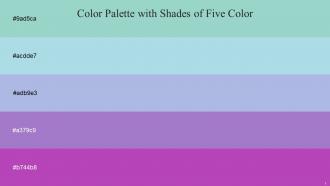 Color Palette With Five Shade Sinbad Regent St Blue Spindle Amethyst Amethyst