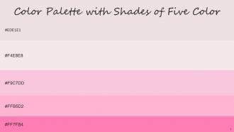 Color Palette With Five Shade Soft Peach Dawn Pink Chantilly Cotton Candy Tickle Me Pink