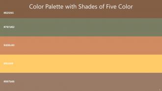 Color Palette With Five Shade Spicy Mix Flax Smoke Whiskey Golden Tainoi Cement