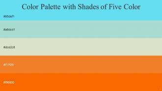 Color Palette With Five Shade Spray Aqua Island Tana Tango Blaze Orange