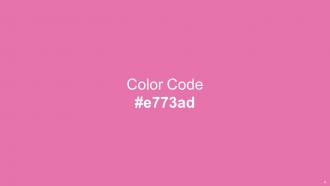 Color Palette With Five Shade Spray Spray Catskill White Kobi Deep Blush