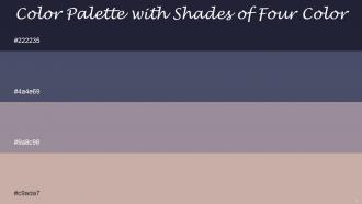 Color Palette With Five Shade Steel Gray Mulled Wine Venus Clam Shell