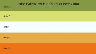 Color Palette With Five Shade Sycamore Yellow Green Spring Sun Anzac Tango