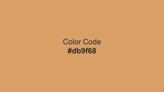Color Palette With Five Shade Tamarillo Red Oxide Di Serria Mule Fawn Cafe Royale Interactive Visual