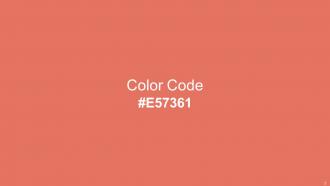 Color Palette With Five Shade Terracotta Sweet Pink Negroni Cararra White Image Adaptable