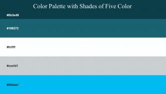 Color Palette With Five Shade Tiber Blumine Blumine Iron Cerulean