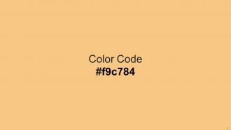 Color Palette With Five Shade Victoria Mercury Cherokee Pumpkin Vermilion Informative Attractive