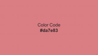 Color Palette With Five Shade Well Read Froly Sandy Brown Jaffa New York Pink Informative Visual