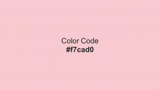 Color Palette With Five Shade White Lavender Blush Azalea Cornflower Lilac Your Pink Interactive Adaptable