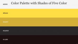 Color Palette With Five Shade Wild Sand Bright Sun Old Gold Mine Shaft Gondola