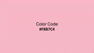 Color Palette With Five Shade Wisp Pink Fair Pink Cosmos Illusion Sundown Downloadable Impactful